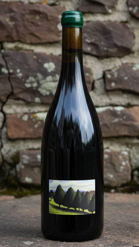 William Downie Gippsland Pinot Noir 2025
