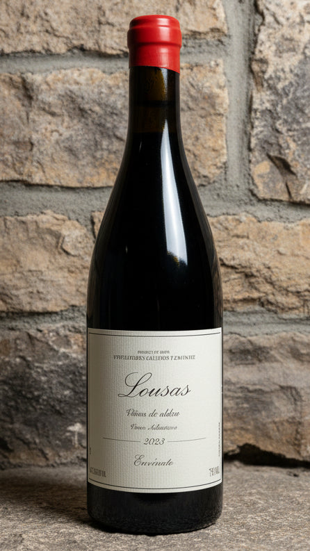 Envínate Lousas Viñas de Aldea Mencía 2023