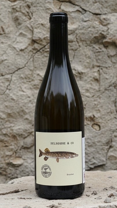 Domaine Delhomme & Co Super Ali 2022