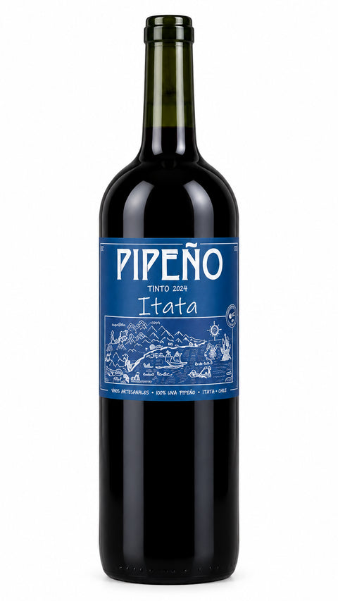 A Los Viñateros Bravos Pipeño Tinto 2024 Itata Chile