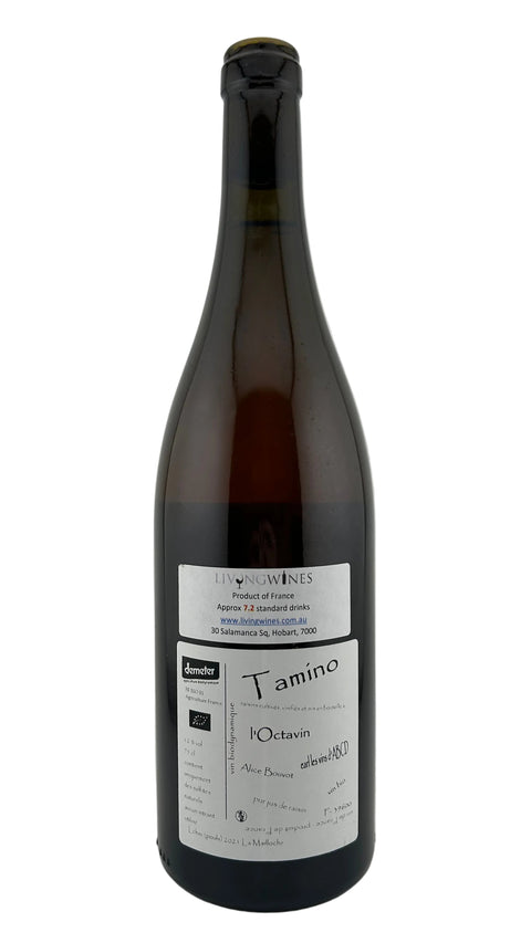 Alice Bouvot l'Octavin Tamino 2021