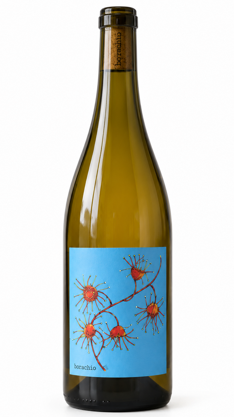 Borachio Adelaide Hills Chardonnay 2022