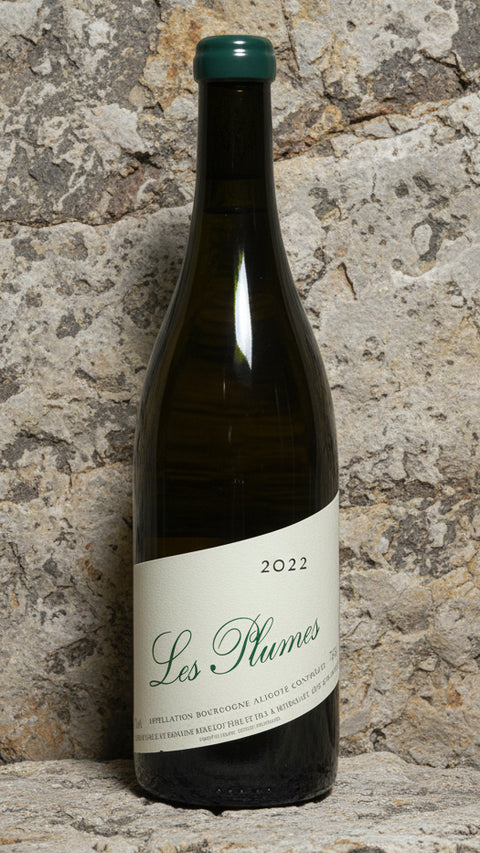 Domaine Rougeot Bourgogne Aligoté “Les Plumes” Nature 2022