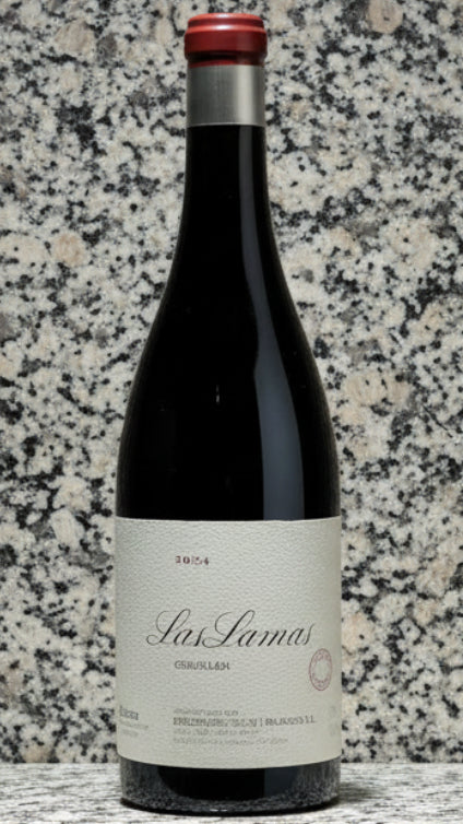 Descendientes de José Palacios Las Lamas