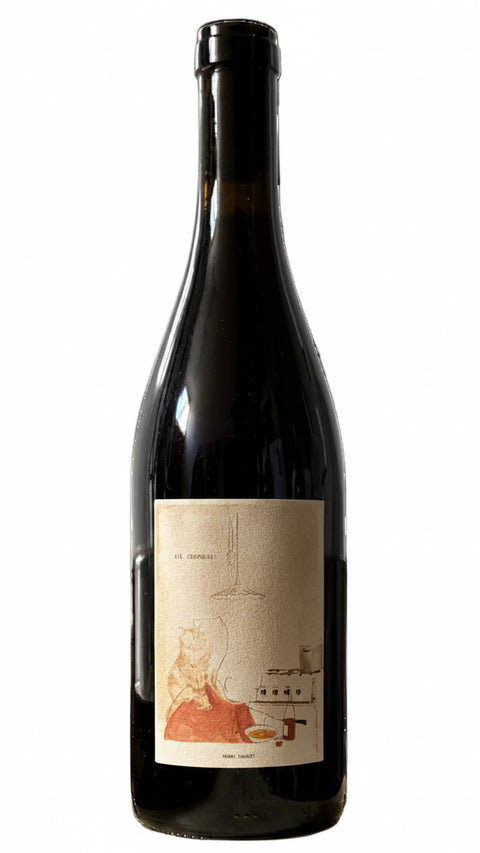 Henri Chauvet Vie Ordinaire Gamay/Pinot Noir 2024
