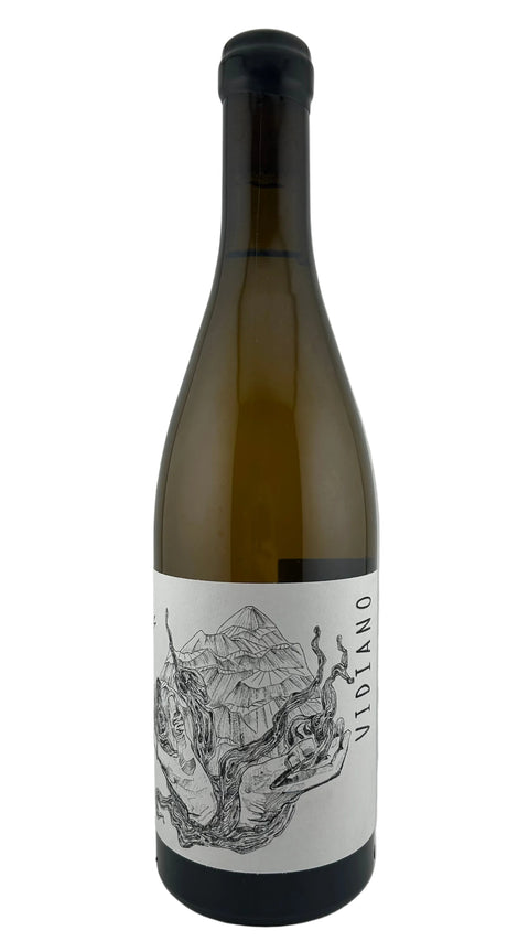 Iliana Malihin Old Vines Vidiano Rhea 2024