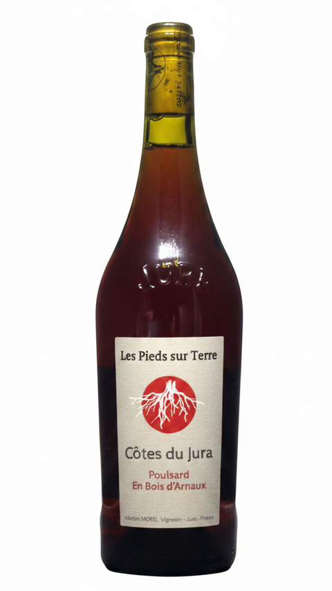 Les Pieds Sur Terre Poulsard En Bois d’Arnaux 2023