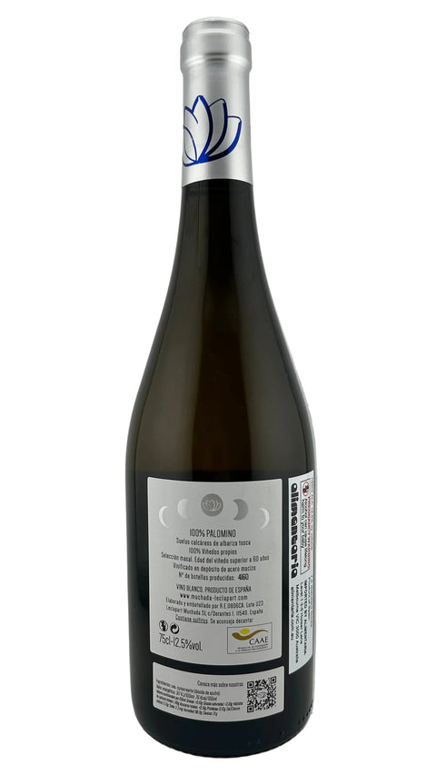 Muchada Leclapart Univers Palomino 2023 2