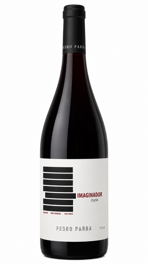 Pedro Parra 'Imaginador' Cinsault 2023 Chile