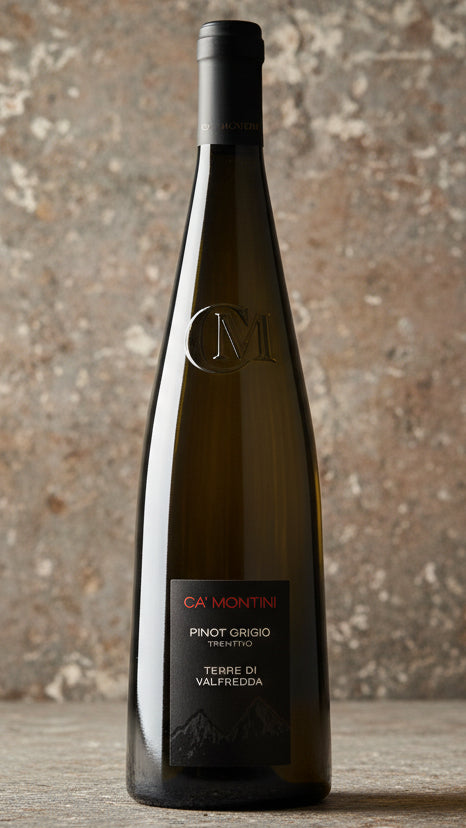 Ca Montini Pinot Grigio Terre di Valfredda Trentino 2023