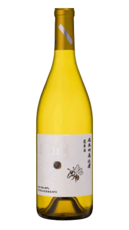 September Helan Chardonnay 2024