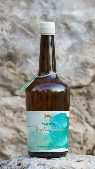 Alonso Manzanilla Velo Flor NV Palomino Sanlucar de Barrameda